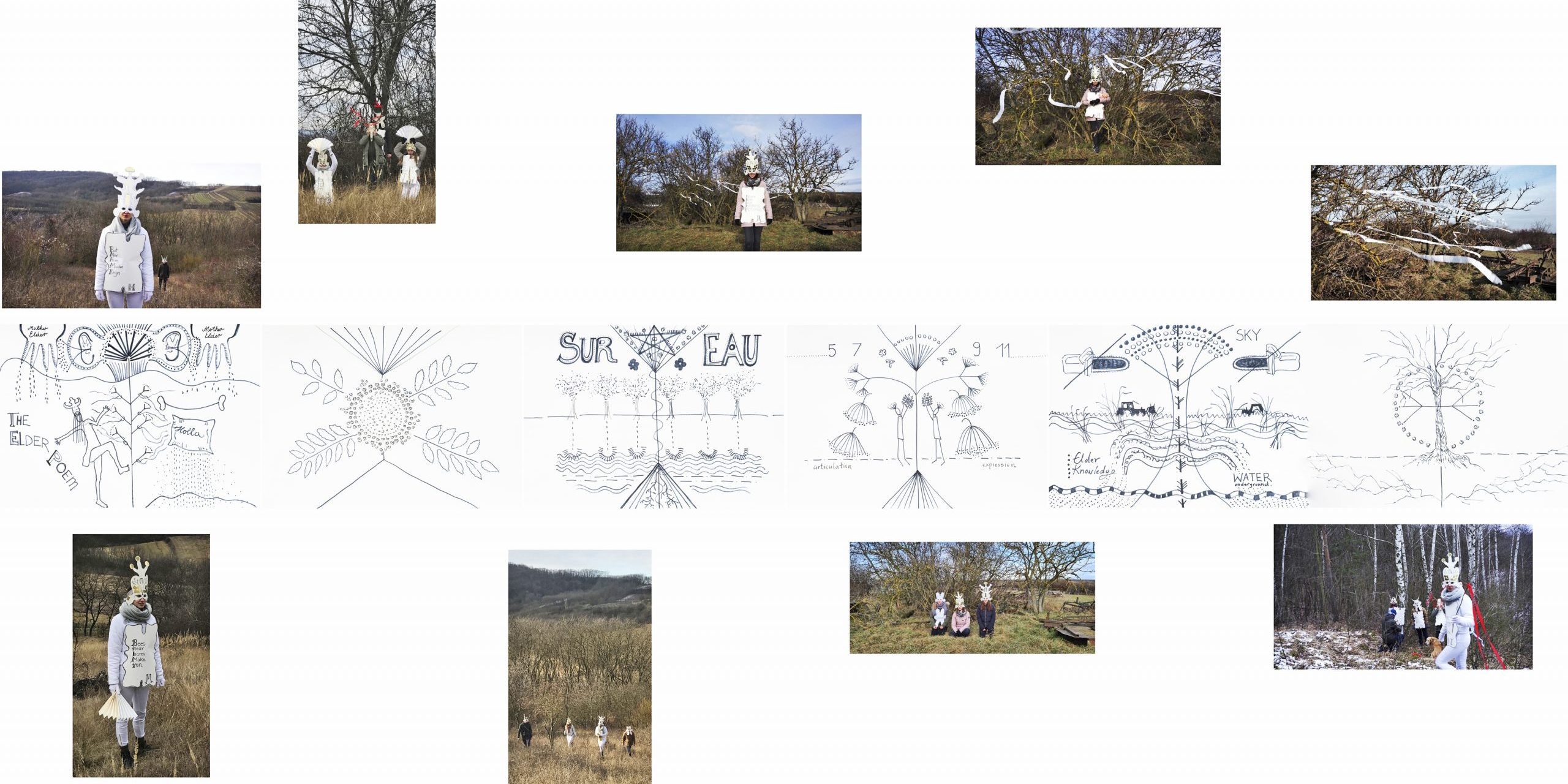 Beitrag Elisabeth von Samsonow Holunder Collage 2 kleiner